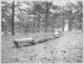 A child sitting on a broken section of a petrified wood log.