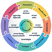 A magatartástudományi tárgyak kapcsolódása más tudományterületekhez