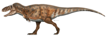 Life restoration of the tyrannosaurid Tarbosaurus baatar