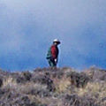 PDP-Anonymous at Aguereberry Point, Death Valley National Park