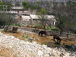 Tribanj-Ljubotić a Velebit lejtői alatt.