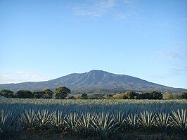 Tequilavulkaan