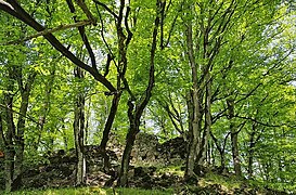 Remains of the fortress walls