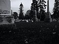 The Burford Congregational Cemetery