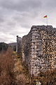 Burgruine (Blick aus Westen)