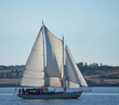 Schooner Suva