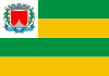 Flag of Riachuelo