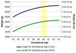 SVG-bestand