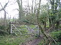 Stood on track bed looking east up Blind Lane, April 2004