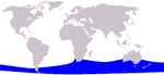 Pygmy right whale range