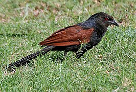 in Hyderabad, India