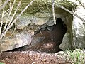 Naturdenkmal Steinbruchhöhle, Onstmettingen