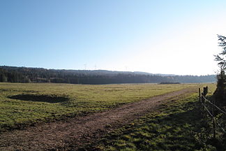 Feld in der Gemeinde Les Breuleux, Blick auf Montagne du Droit mit Windkraftanlage Mont Crosin