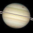 A quadruple transit of the moons of Saturn captured by Hubble Space Telescope