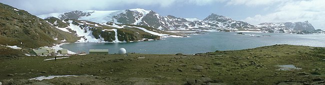 Foto: Ben Tullis Factory Cove på Signy Island, Sør-Orknøyene