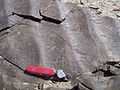 Wave ripple or symmetric ripple, from Permian rocks in Nomgon, Mongolia