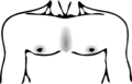 13.34, 27 Ocak 2015 tarihindeki sürümün küçültülmüş hâli