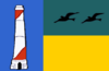 Flag of Mario Briceño Iragorry Municipality