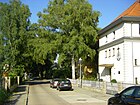 Greulichstraße