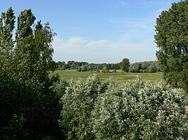 Uitzicht op de Snippenweide