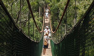 Hängebrücke