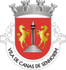 Coat of arms of Canas de Senhorim