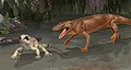 Fayella chickashaensis and Varanodon agilis