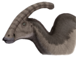 Parasaurolophus