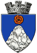 Wappen von Târgu Cărbunești