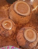 Sorghum beer, Omalovu giilya, fermenting in gourds, Namibia