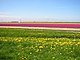 Voor het zo heerlijk overzichtelijk houden van het Wikipedia landschap! EdBever 12 apr 2007