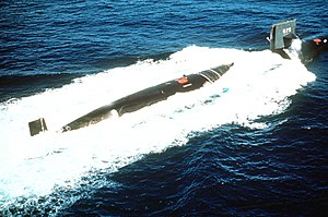 USS Bluefish (SSN-675)