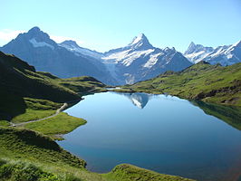 Bachalpsee