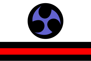 The "flag of Ryukyu" on Wikipedia that was highlighted by Daisaku Kina