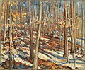 1965: Forest in winter, near Zollikon (60 × 73 cm)