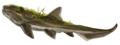 Heterosteus