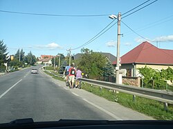 Village view from the main road