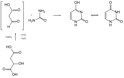 Synthese von Uracil aus Äpfelsäure über 3-Oxopropansäure