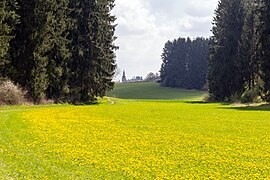 Oberer Teil des Tals mit Blick auf Bronn