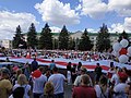 Minsk'teki Lukaşenko'ya karşı miting, 16 Ağustos