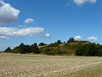 Der Tumulus de la Motte de Puytaillé