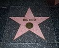 Big Bird's star on the Hollywood Walk of Fame