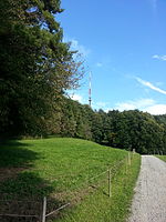 Brühlbergturm von Oberwil aus gesehen