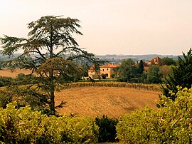 A general view of Saint-Jouannet in Saint-Orens-Pouy-Petit