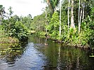 Children at Cola Creek