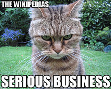 The Wikipedias. serious business. (2008)