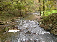 Die Düssel im Neandertal. Richtung Erkrath, von der Braumüllerschen Düsselbrücke