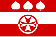 Vlag