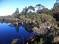 Government Jetty from Lower Kalgan Bridge