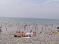 The sand exposed at low tide